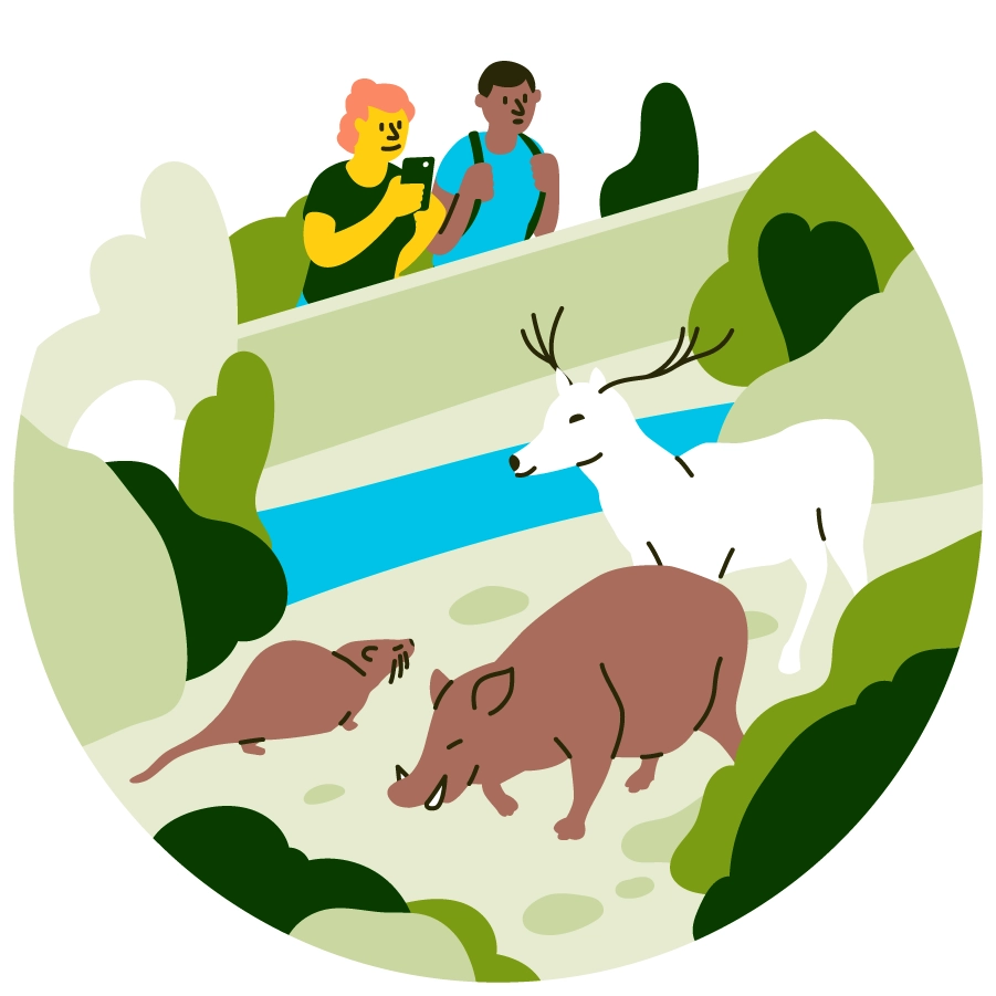 Illustration: cabanes d'observation