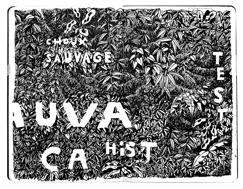 Croquis de recherche, intégration de typographie